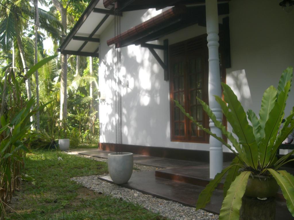 Bird Villa Galle Pokoj fotografie